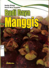 Budi Daya Manggis