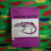 Anatomi Reptil