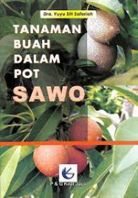 Tanaman Buah dalam Pot Sawo